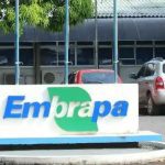 Embrapa: 1,7 mil vagas e salários de até R$ 12 mil