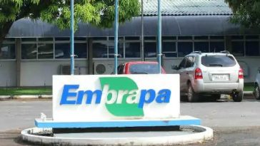 Embrapa: 1,7 mil vagas e salários de até R$ 12 mil