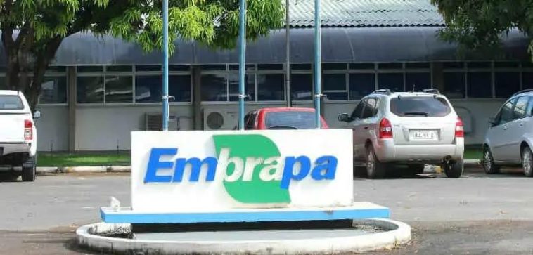 Embrapa: 1,7 mil vagas e salários de até R$ 12 mil