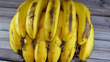 5 Truques Incríveis para Reaproveitar Cascas de Banana