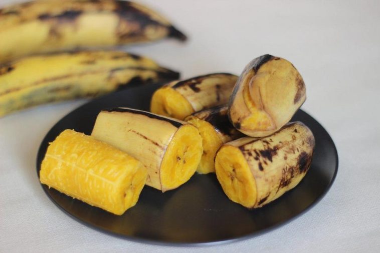 Banana da Terra: 3 Receitas e Benefícios para Sua Saúde