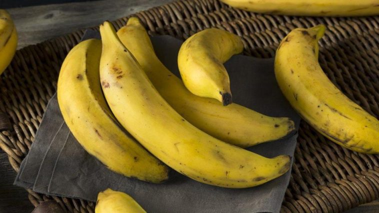 Como Conservar Bananas por Mais Tempo: 4 Dicas Simples