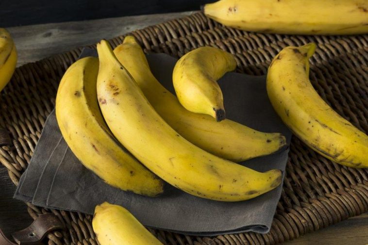 Como Conservar Bananas por Mais Tempo: 4 Dicas Simples