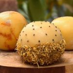 Queijo Brasileiro de Maracujá é um dos 10 Melhores do Mundo