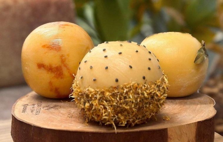 Queijo Brasileiro de Maracujá é um dos 10 Melhores do Mundo